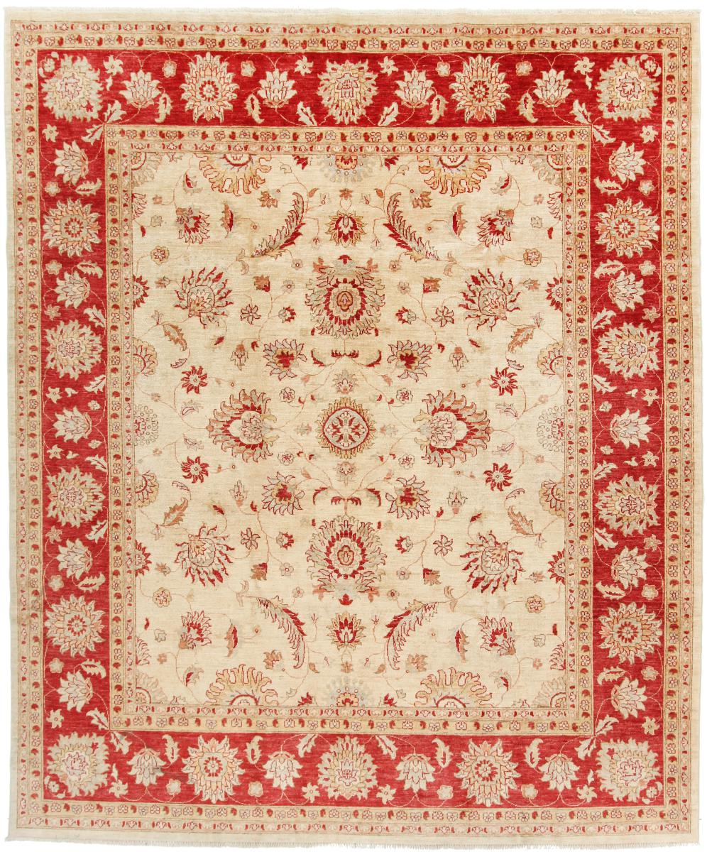 Afghan rug Ziegler 9'9"x8'2" 9'9"x8'2", Persian Rug Knotted by hand