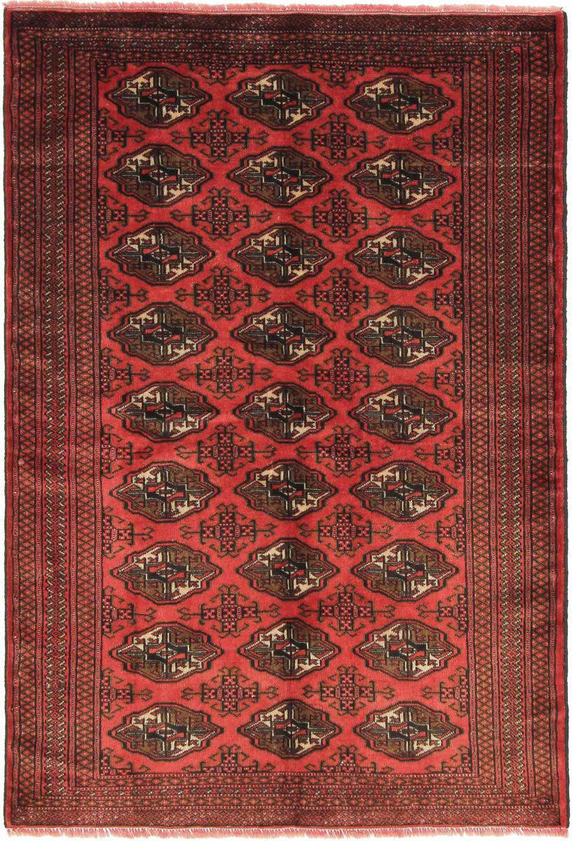 Perzisch tapijt Turkaman 6'2"x4'2" 6'2"x4'2", Perzisch tapijt Handgeknoopte
