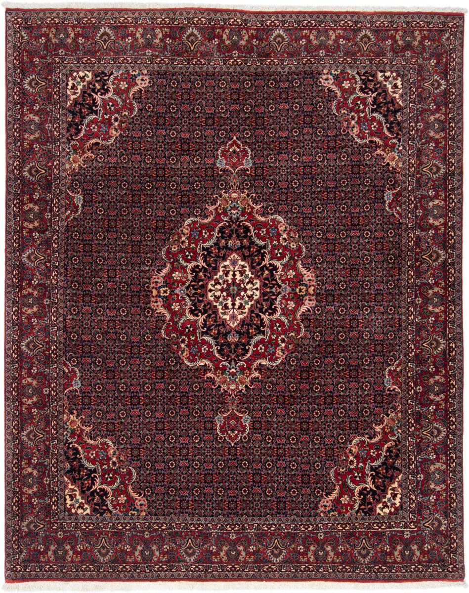 Tapis persan Bidjar 253x199 253x199, Tapis persan Noué à la main