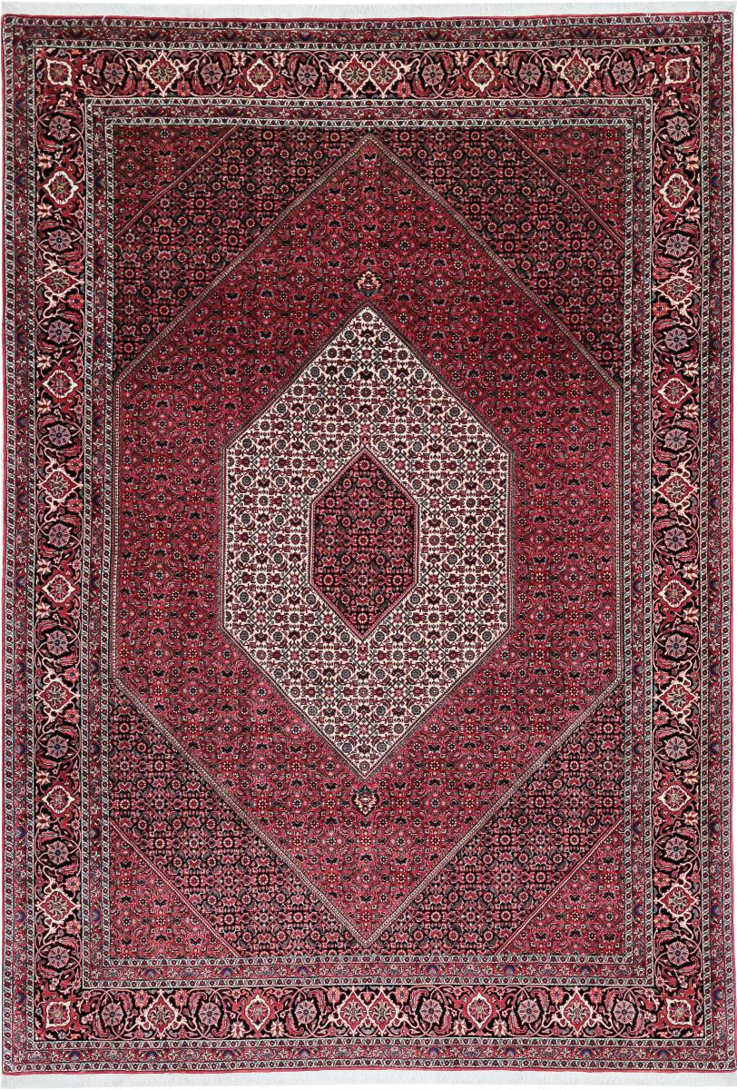 Persian Rug Bidjar Tekab 9'10"x6'9" 9'10"x6'9", Persian Rug Knotted by hand