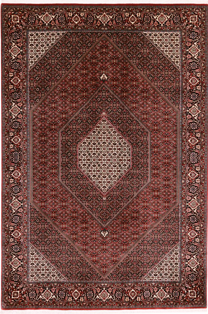  ペルシャ絨毯 ビジャー Tekab 10'0"x6'7" 10'0"x6'7",  ペルシャ絨毯 手織り
