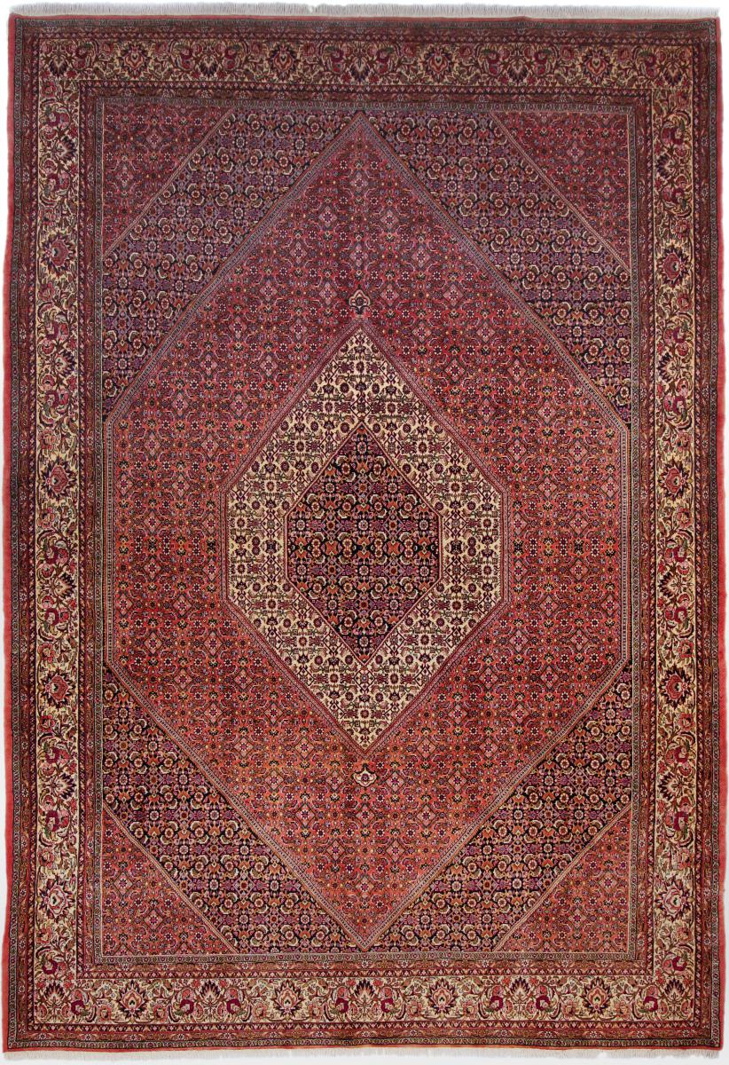 Persian Rug Bidjar Tekab 12'0"x8'1" 12'0"x8'1", Persian Rug Knotted by hand