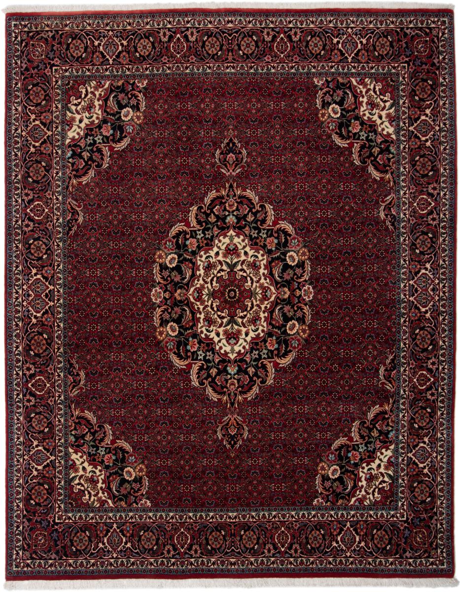 Persian Rug Bidjar 256x202 256x202, Persian Rug Knotted by hand