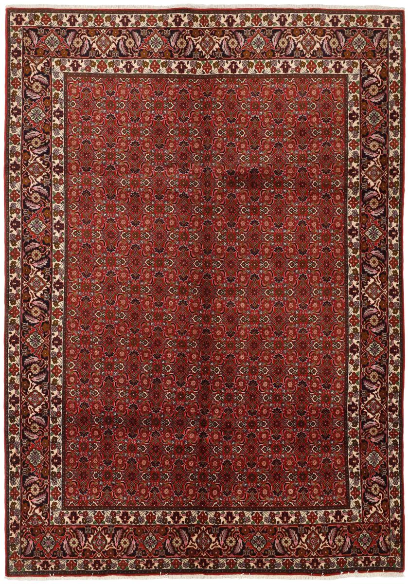 Persian Rug Bidjar 286x204 286x204, Persian Rug Knotted by hand
