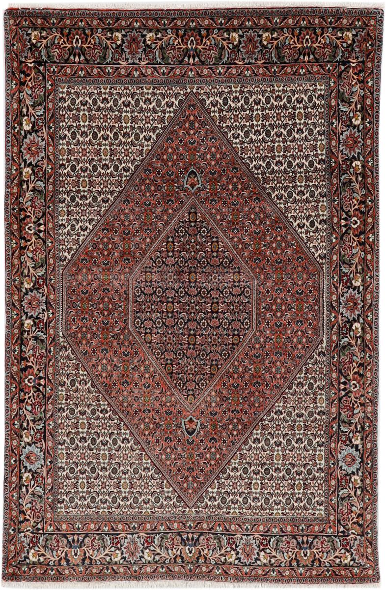 Tapis persan Bidjar 253x169 253x169, Tapis persan Noué à la main