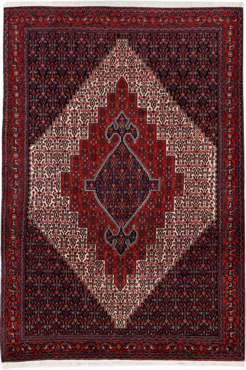 Persian Rug Senneh 10'0"x6'11" 10'0"x6'11", Persian Rug Knotted by hand