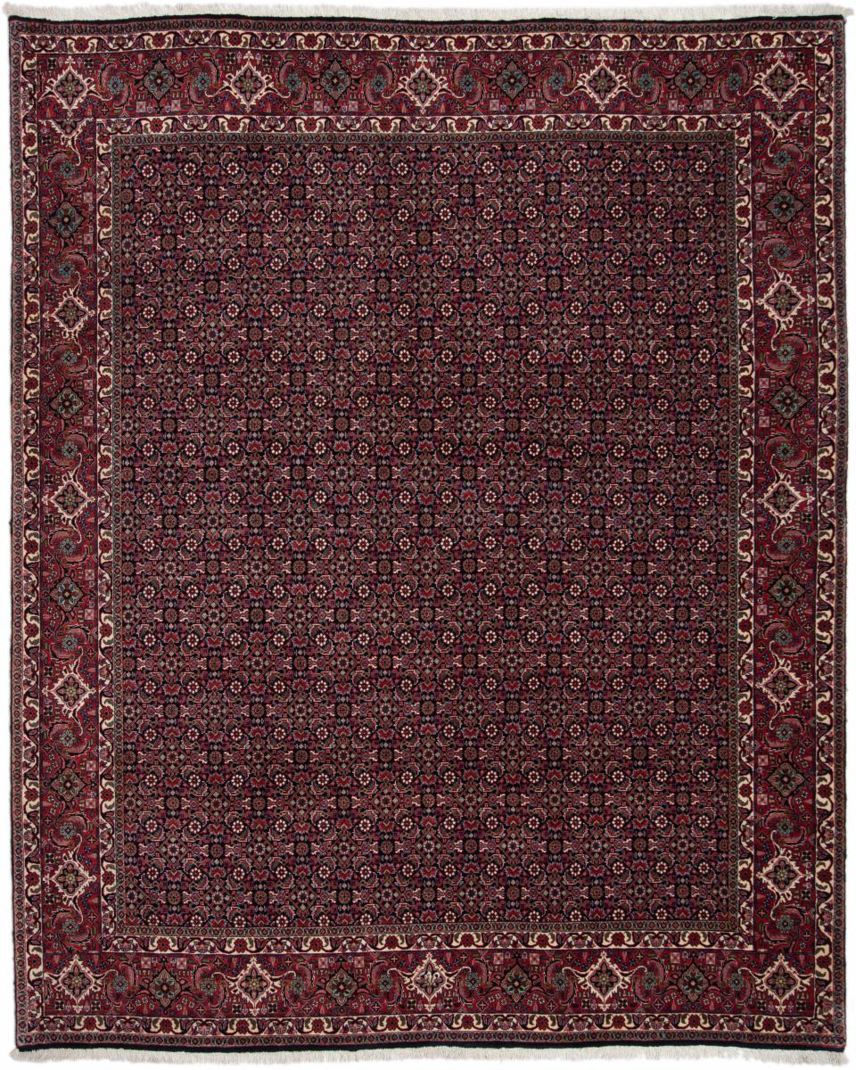 Persialainen matto Bidjar 8'2"x6'6" 8'2"x6'6", Persialainen matto Solmittu käsin
