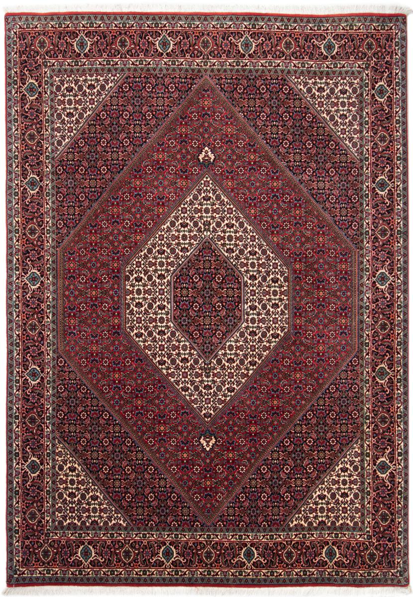 Persian Rug Bidjar 8'2"x5'9" 8'2"x5'9", Persian Rug Knotted by hand