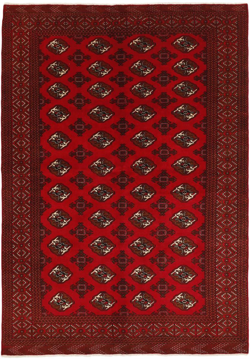 Perzisch tapijt Turkaman 9'6"x6'7" 9'6"x6'7", Perzisch tapijt Handgeknoopte