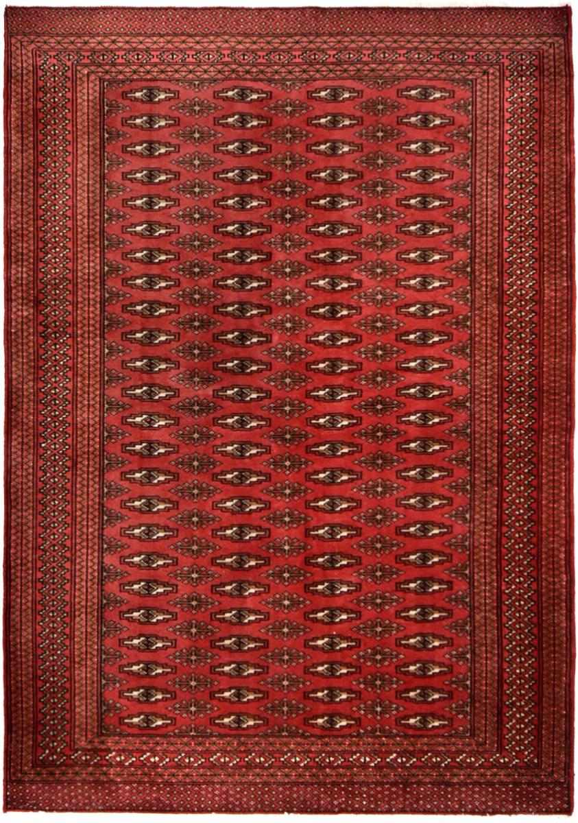 Persian Rug Turkaman 6'3"x7'7" 6'3"x7'7", Persian Rug Knotted by hand