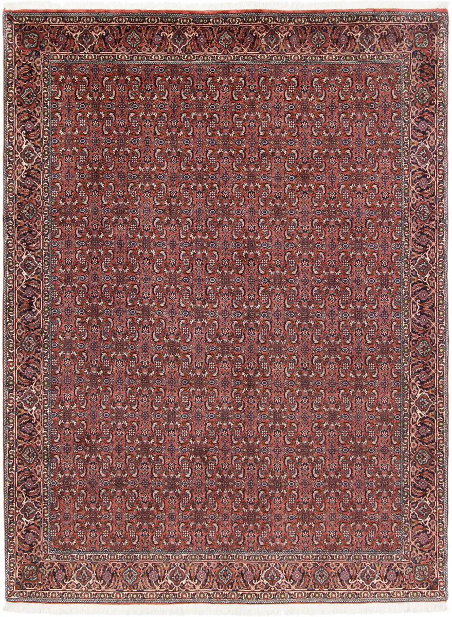 Tapis persan Bidjar 7'6"x5'7" 7'6"x5'7", Tapis persan Noué à la main