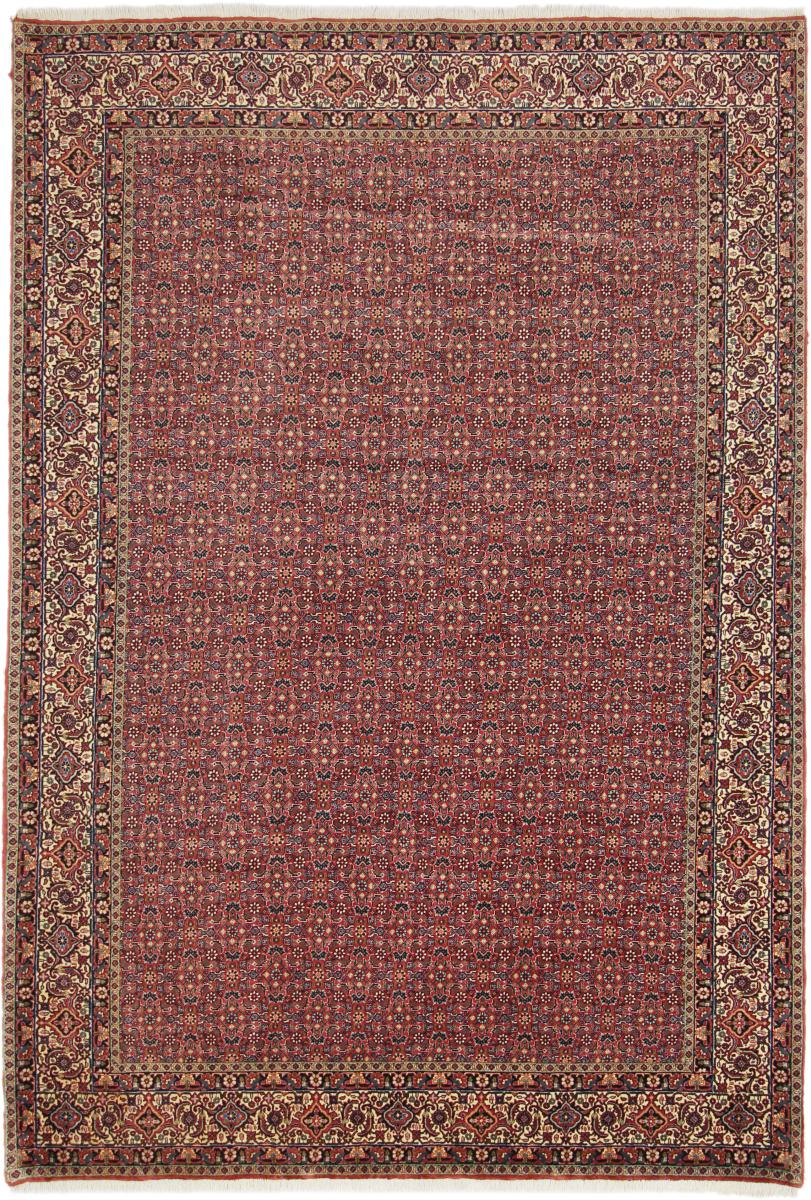 Persian Rug Bidjar Tekab 9'8"x6'6" 9'8"x6'6", Persian Rug Knotted by hand