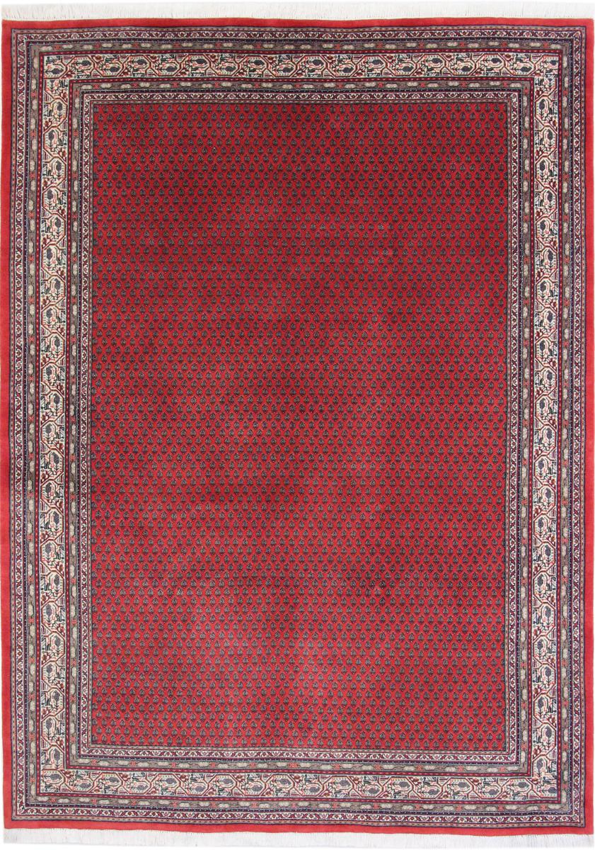 Indo rug Sarouk Mir Boteh 7'10"x5'9" 7'10"x5'9", Persian Rug Knotted by hand