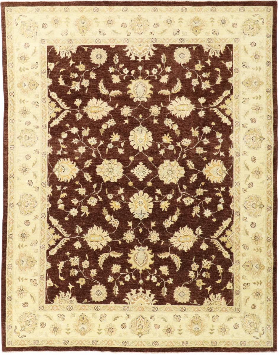 Tapis pakistanais Ziegler Farahan 9'11"x7'9" 9'11"x7'9", Tapis persan Noué à la main