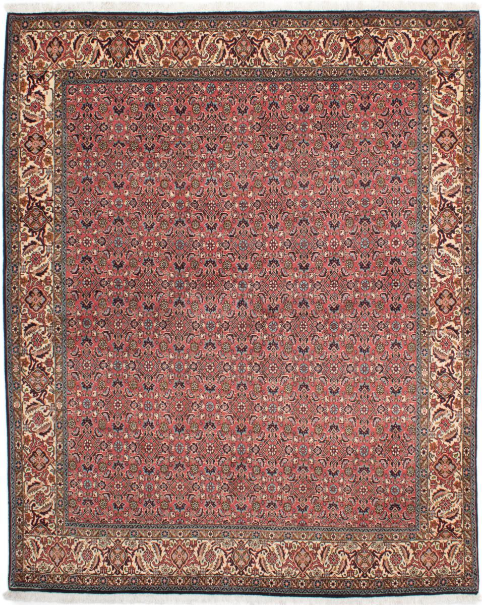 Perzsa szőnyeg Bidjar Tekab 8'2"x6'6" 8'2"x6'6", Perzsa szőnyeg Kézzel csomózva