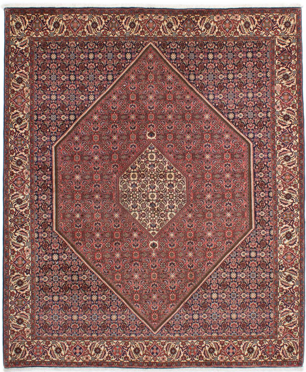 ペルシャ絨毯 ビジャー Tekab 242x204 242x204,  ペルシャ絨毯 手織り