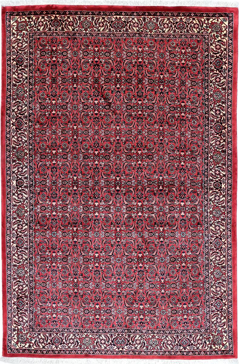  ペルシャ絨毯 ビジャー Tekab 166x112 166x112,  ペルシャ絨毯 手織り