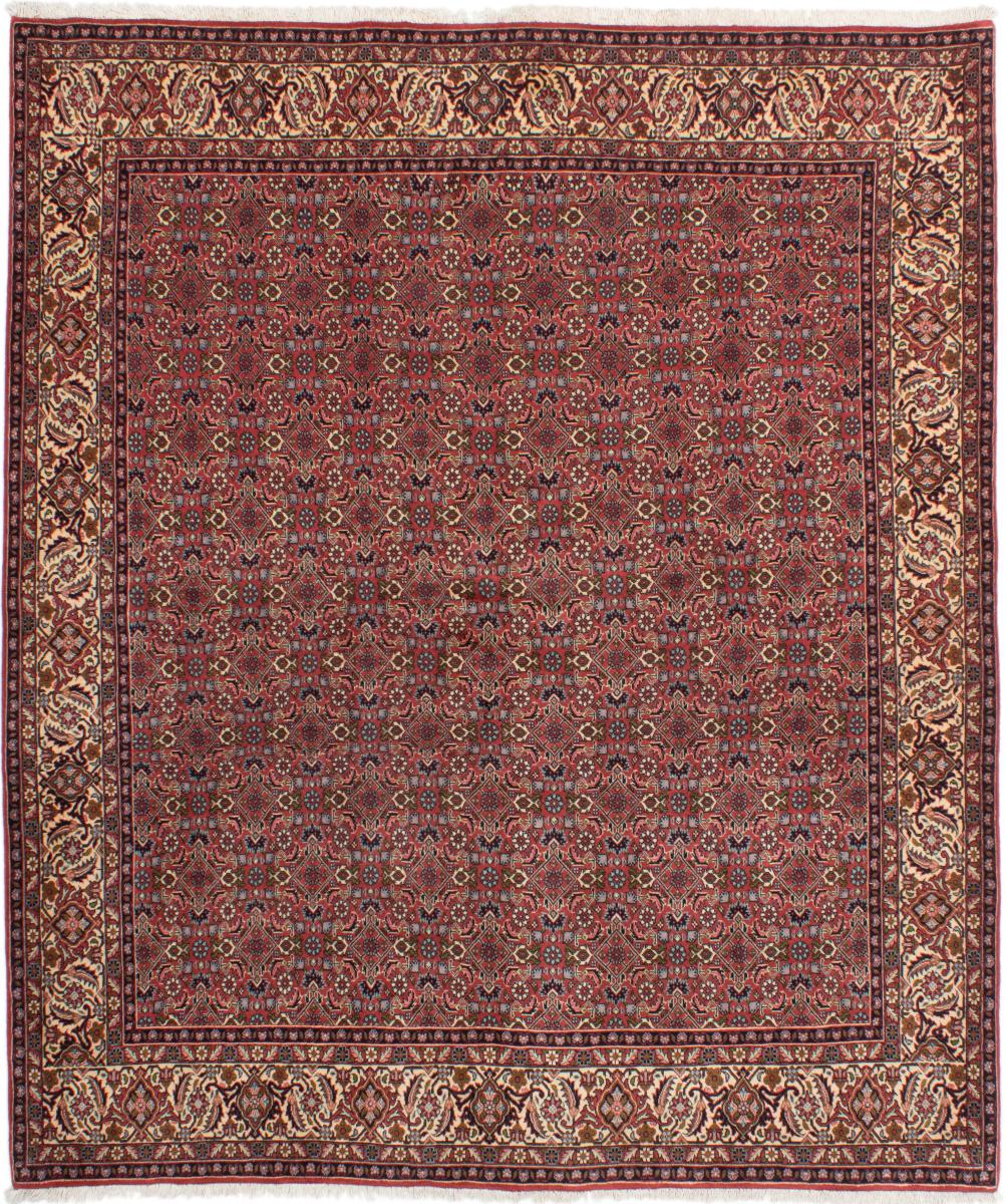 Persian Rug Bidjar Tekab 8'1"x6'8" 8'1"x6'8", Persian Rug Knotted by hand