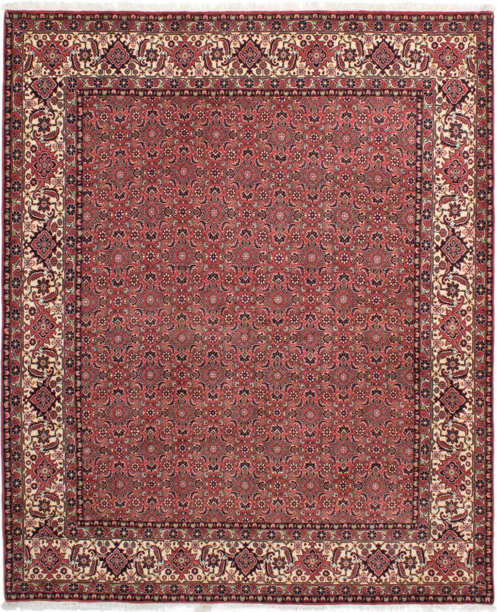  ペルシャ絨毯 ビジャー Tekab 249x205 249x205,  ペルシャ絨毯 手織り