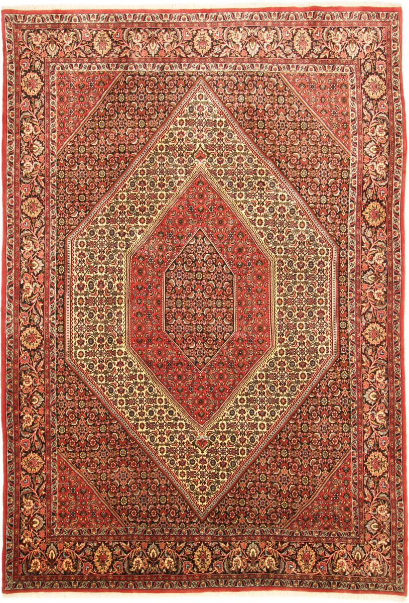 Persian Rug Bidjar Tekab 9'11"x6'11" 9'11"x6'11", Persian Rug Knotted by hand