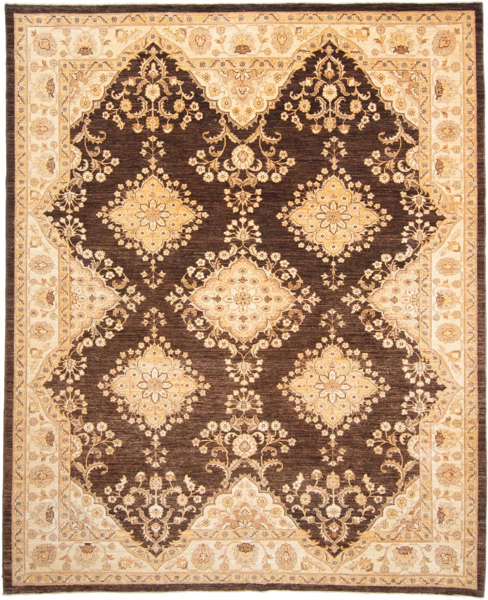 Pakistani rug Ziegler Farahan Arijana 9'11"x8'1" 9'11"x8'1", Persian Rug Knotted by hand
