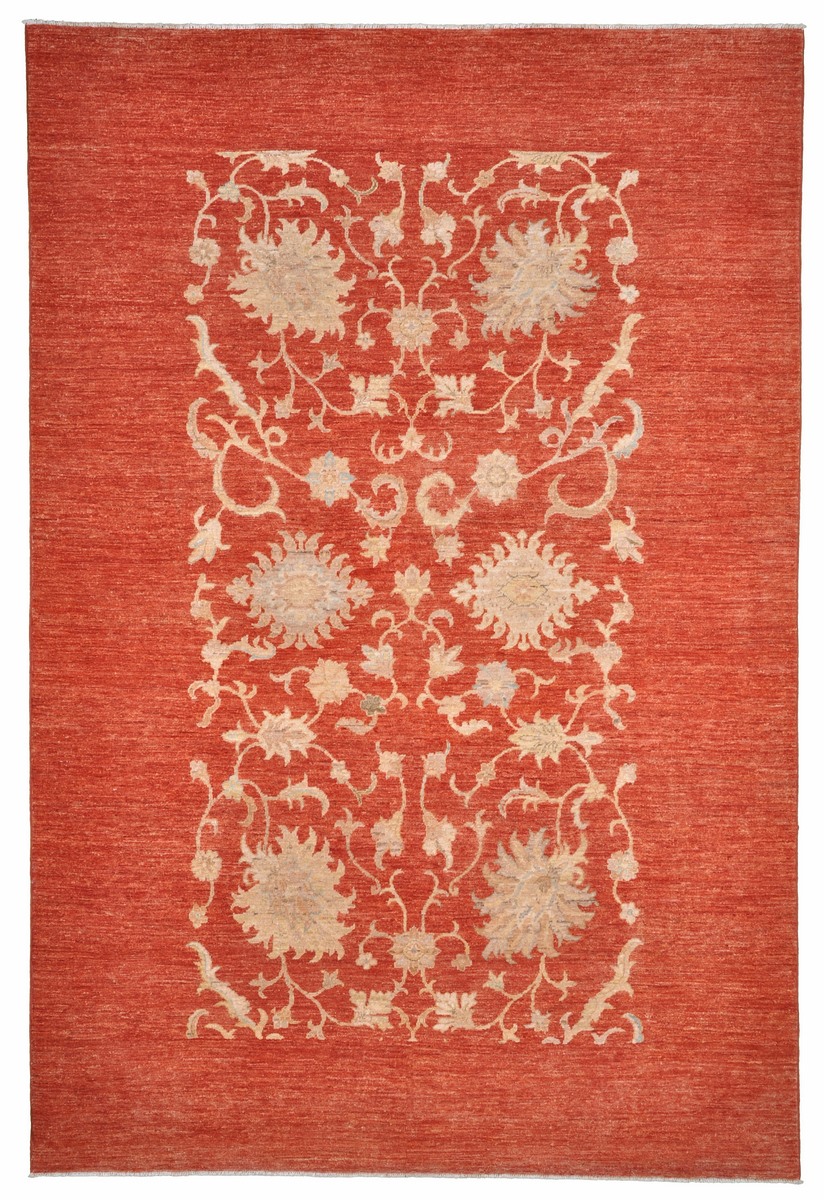 Pakistani rug Ziegler Farahan Arijana 252x170 252x170, Persian Rug Knotted by hand