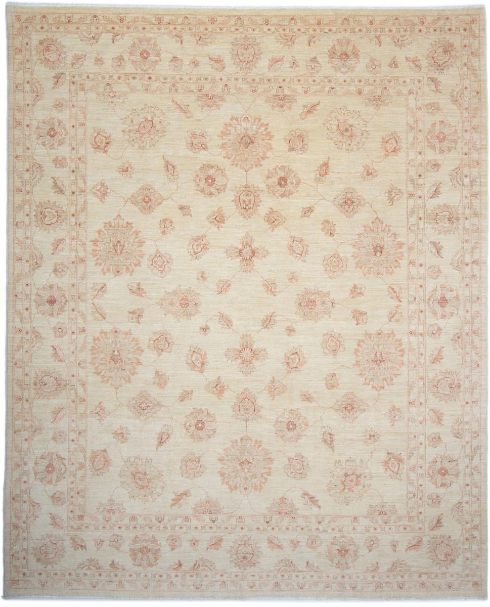 Pakistani rug Ziegler Farahan Arijana 10'1"x8'2" 10'1"x8'2", Persian Rug Knotted by hand