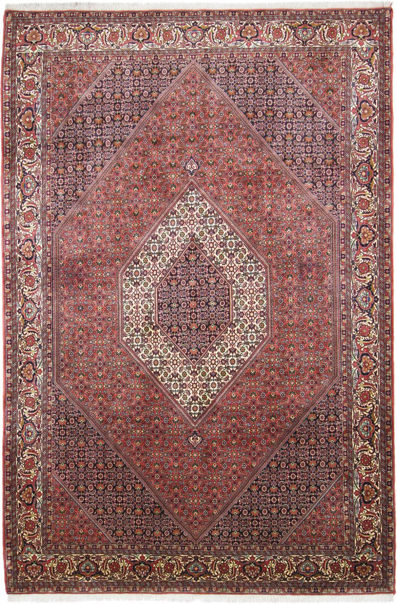 ペルシャ絨毯 ビジャー Tekab 307x203 307x203,  ペルシャ絨毯 手織り