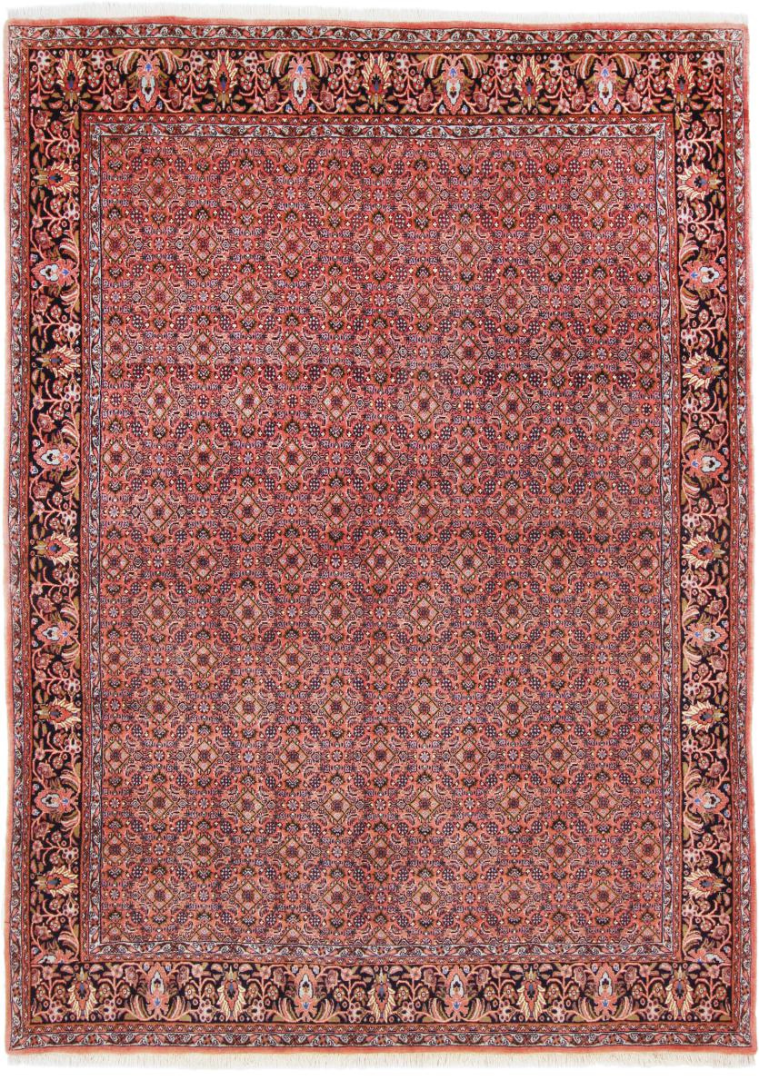 Persian Rug Bidjar Tekab 234x173 234x173, Persian Rug Knotted by hand