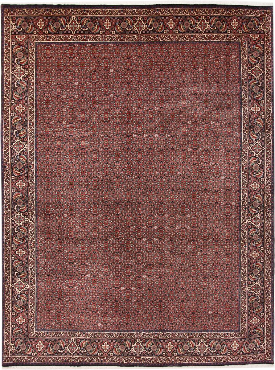 Persian Rug Bidjar 343x251 343x251, Persian Rug Knotted by hand