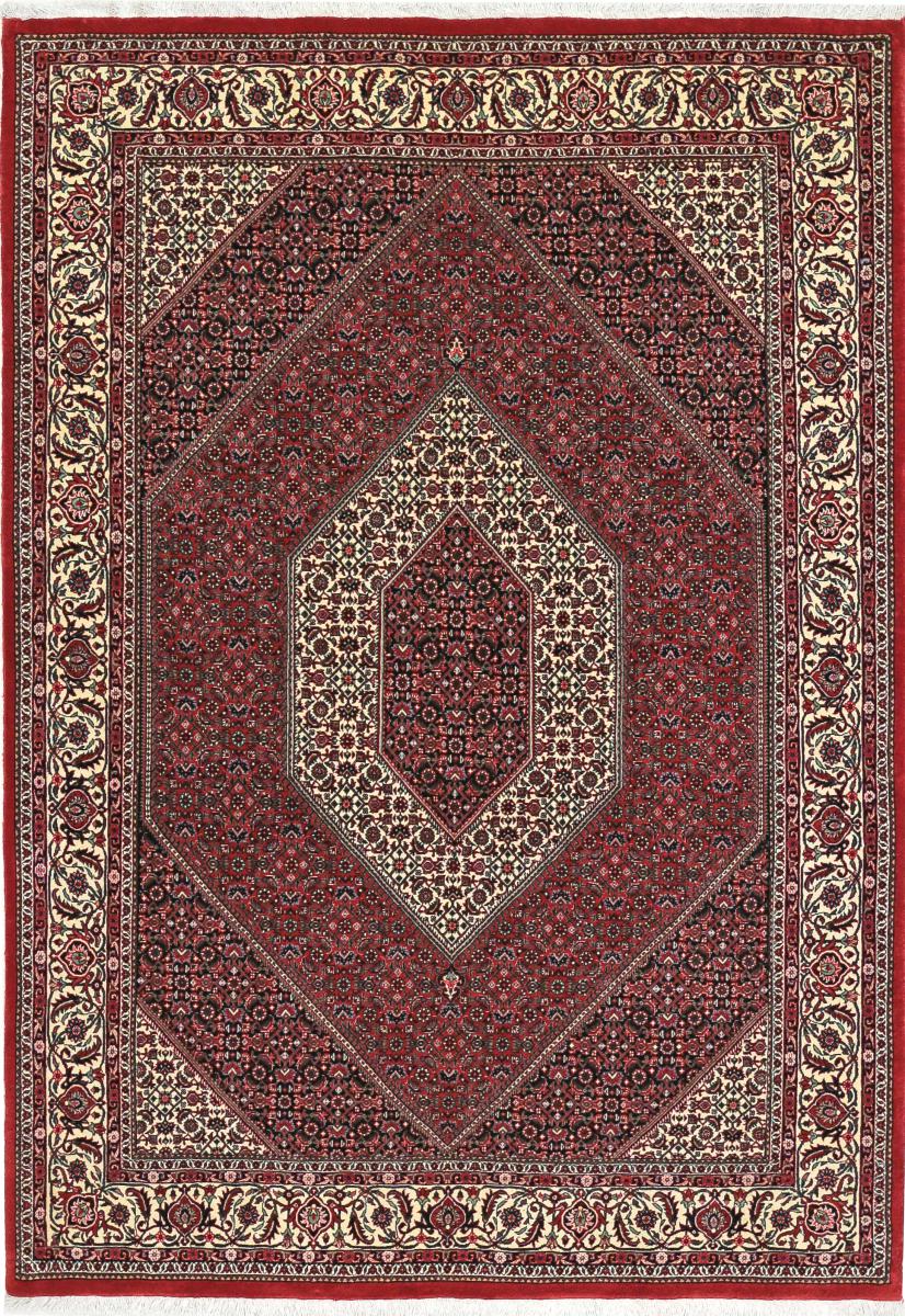 Tapis persan Bidjar Tekab 8'2"x5'7" 8'2"x5'7", Tapis persan Noué à la main