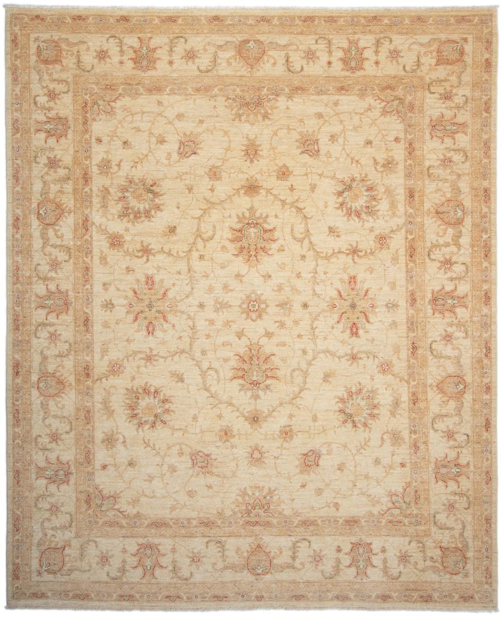 Pakistani rug Ziegler Farahan Arijana 9'8"x8'0" 9'8"x8'0", Persian Rug Knotted by hand