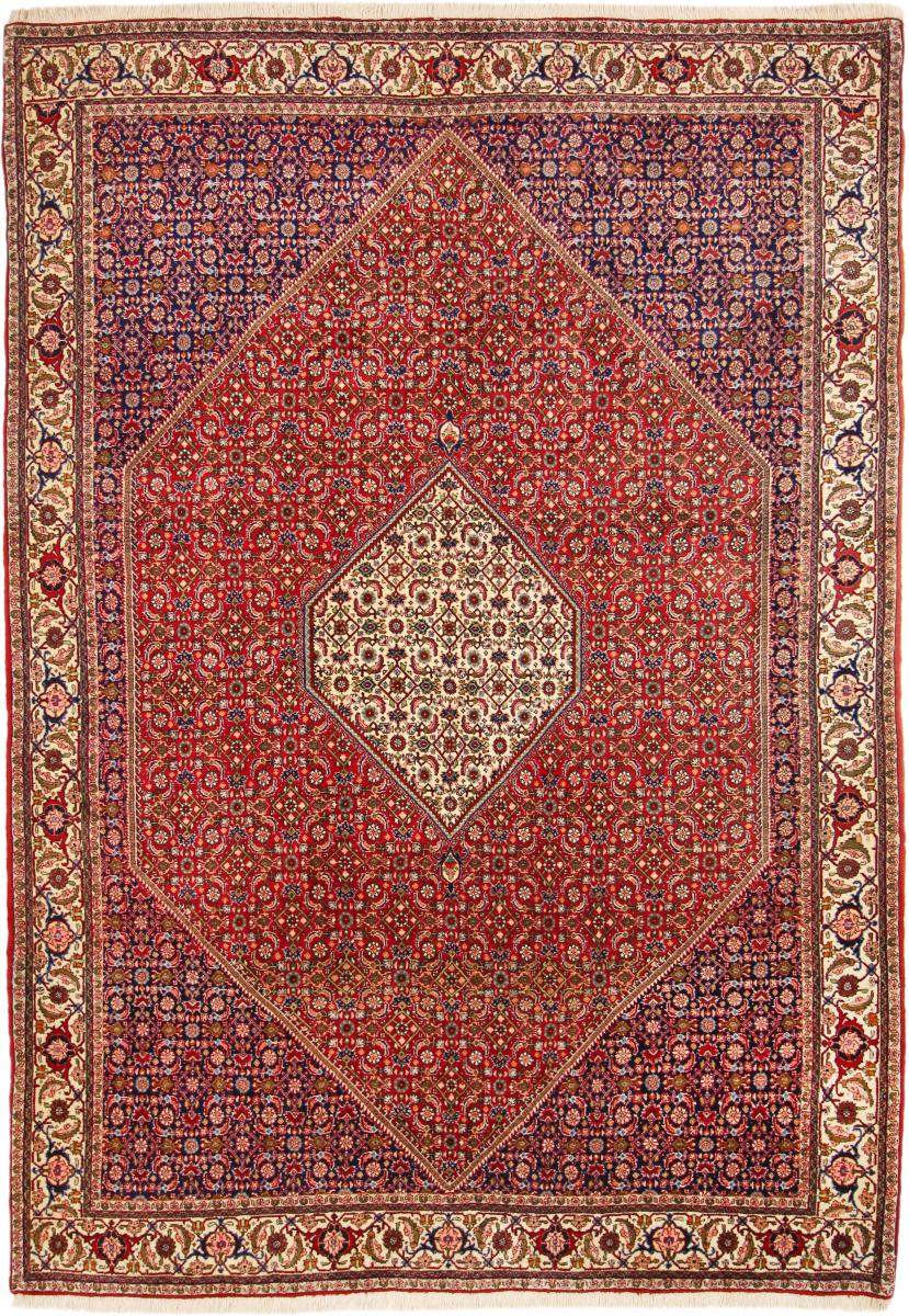 Perzisch tapijt Bidjar Tekab 9'9"x6'11" 9'9"x6'11", Perzisch tapijt Handgeknoopte