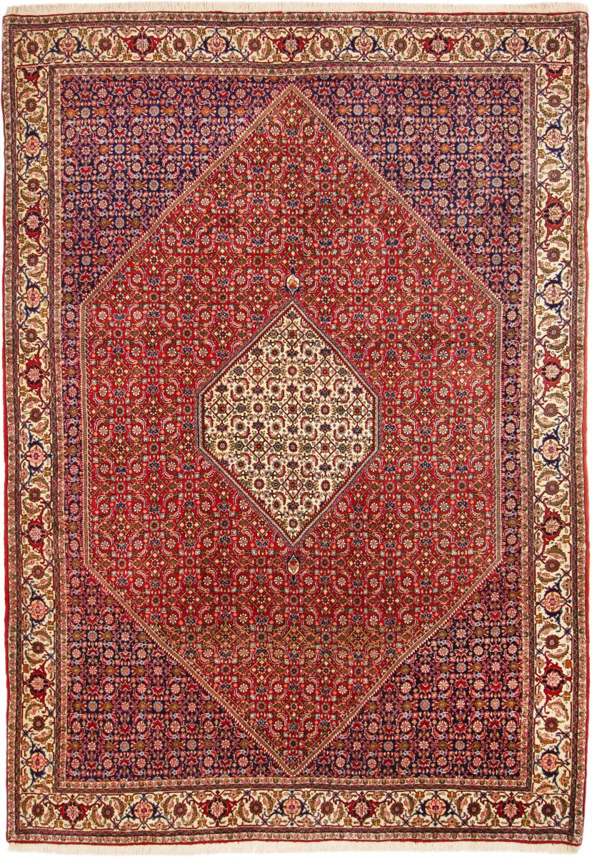 Tapis persan Bidjar Tekab 298x212 298x212, Tapis persan Noué à la main