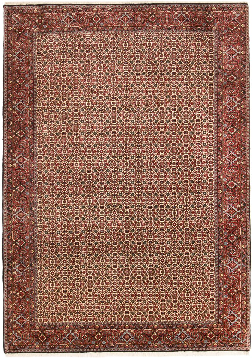 ペルシャ絨毯 ビジャー Tekab 9'8"x6'11" 9'8"x6'11",  ペルシャ絨毯 手織り