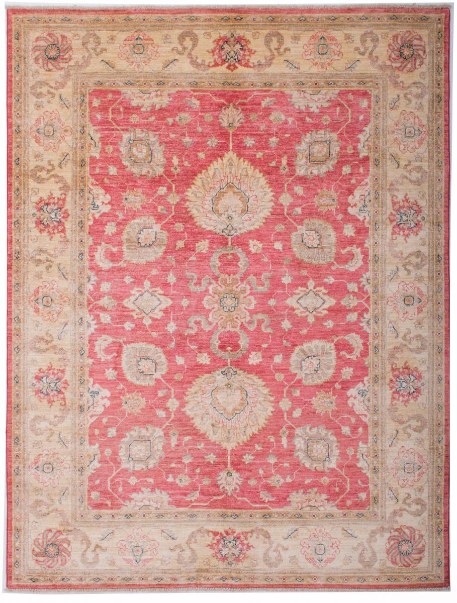 Afghan rug Ziegler Farahan Arijana 6'4"x4'11" 6'4"x4'11", Persian Rug Knotted by hand
