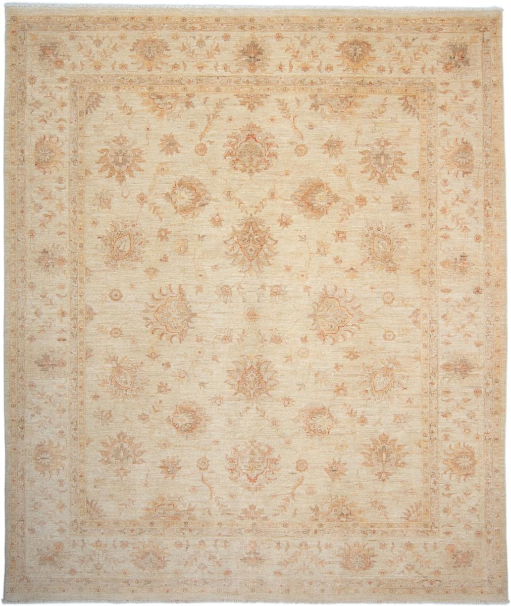 Pakistani rug Ziegler Farahan Arijana 9'7"x8'1" 9'7"x8'1", Persian Rug Knotted by hand