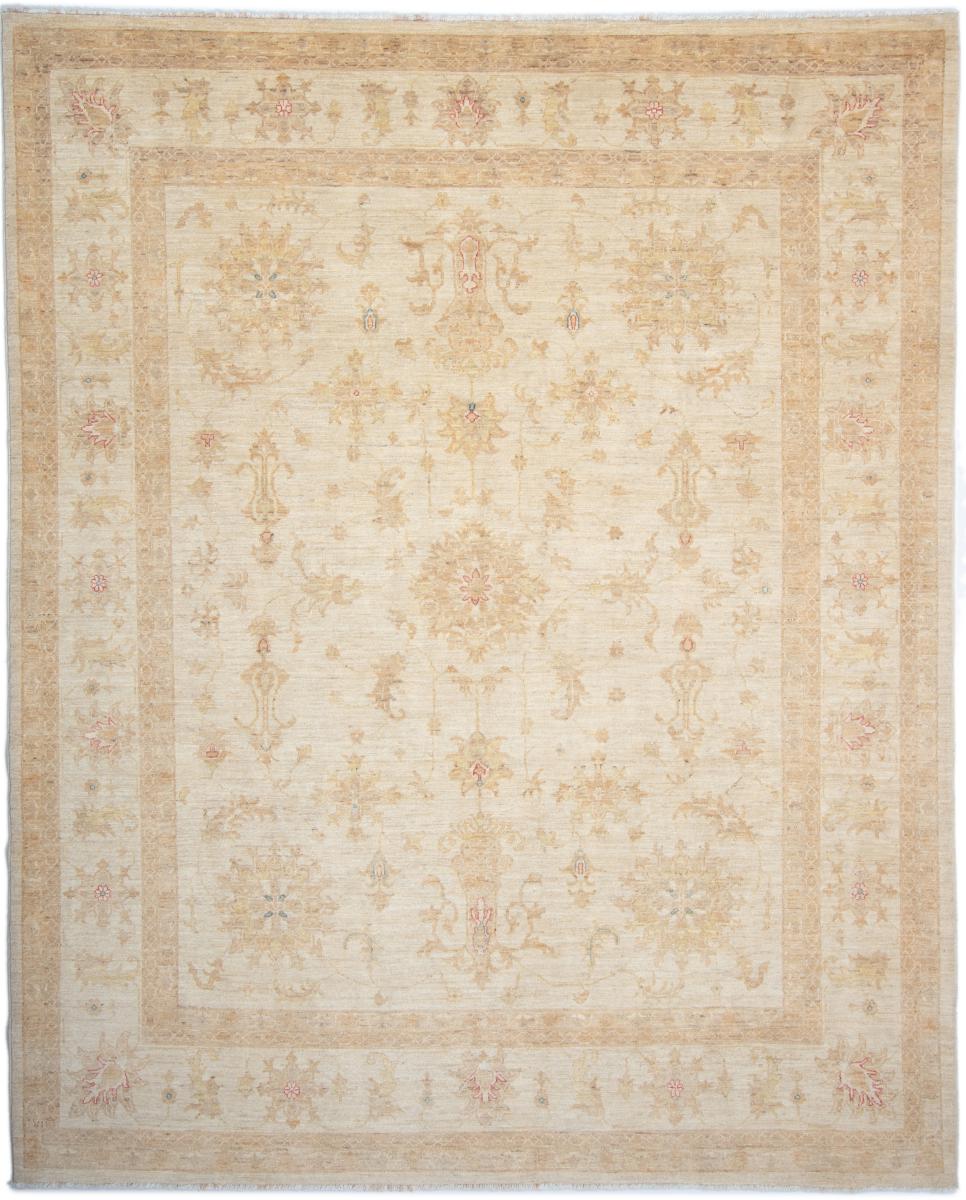 Pakistaans tapijt Ziegler Farahan Arijana 10'0"x8'3" 10'0"x8'3", Perzisch tapijt Handgeknoopte