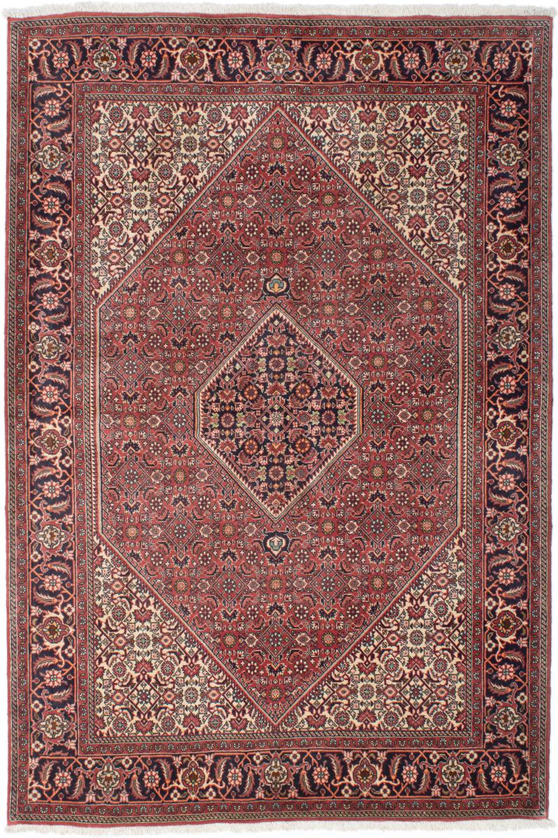 Tapis persan Bidjar Z 207x138 207x138, Tapis persan Noué à la main