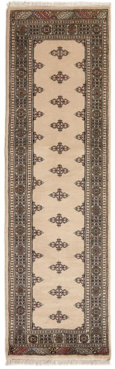 Pakistani rug Pakistan Buchara 2ply 256x77 256x77, Persian Rug Knotted by hand