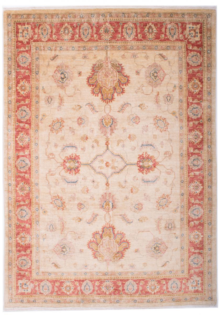 Afghan rug Ziegler Farahan Arijana 6'5"x4'8" 6'5"x4'8", Persian Rug Knotted by hand