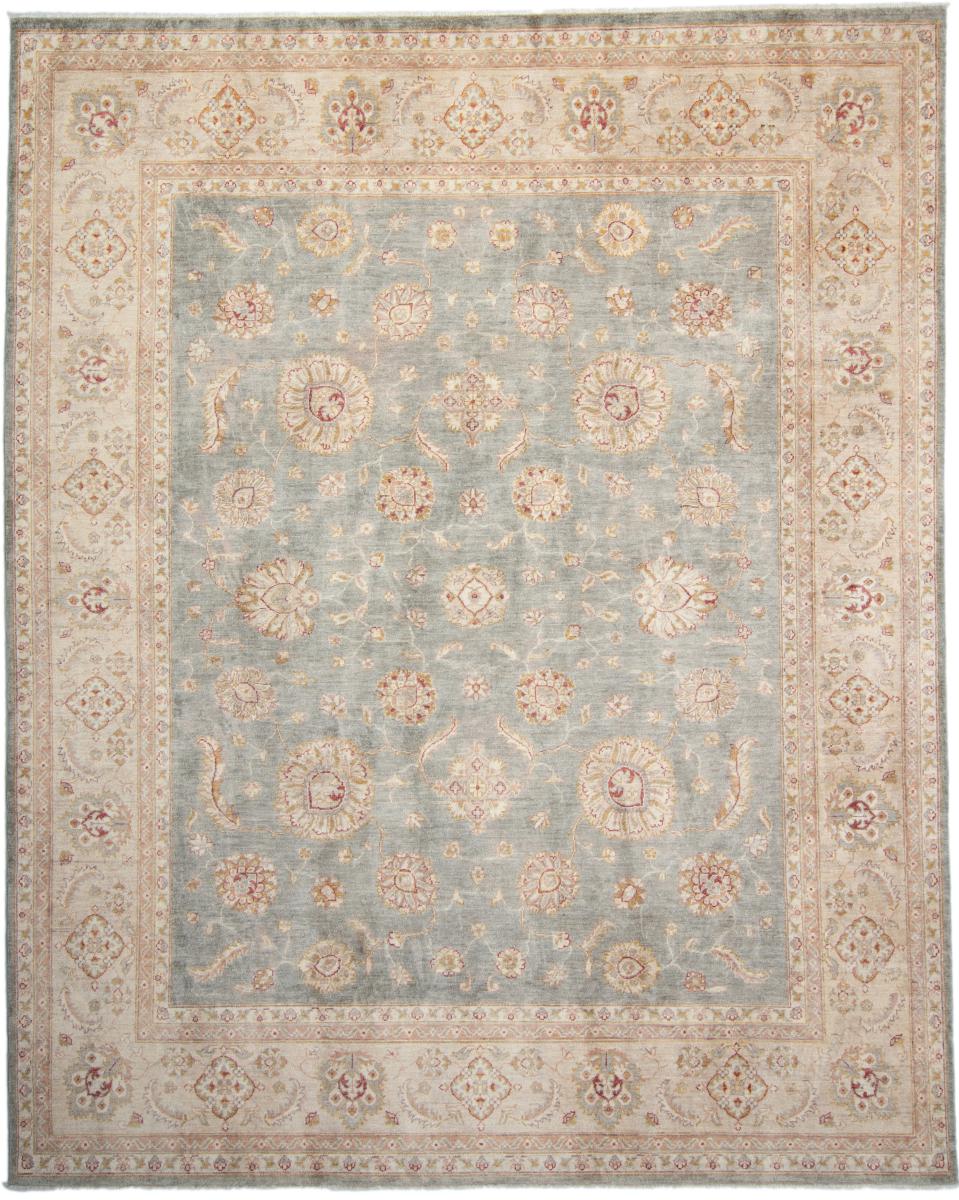 Pakistani rug Ziegler Farahan Arijana 10'1"x8'1" 10'1"x8'1", Persian Rug Knotted by hand