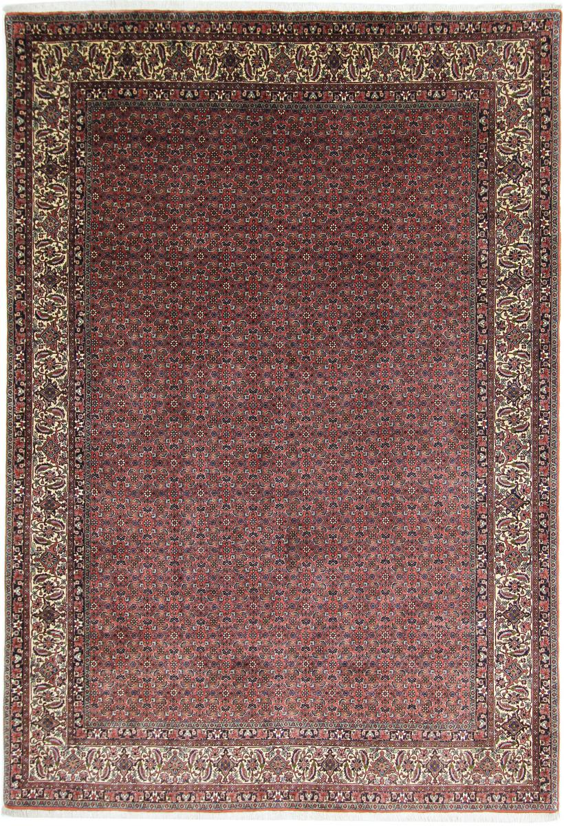 Persian Rug Bidjar Bokan 295x206 295x206, Persian Rug Knotted by hand