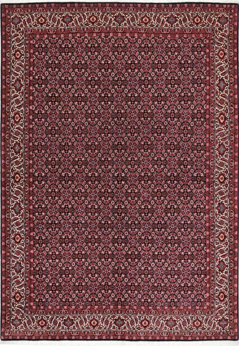 Persisk matta Bidjar 246x172 246x172, Persisk matta Knuten för hand