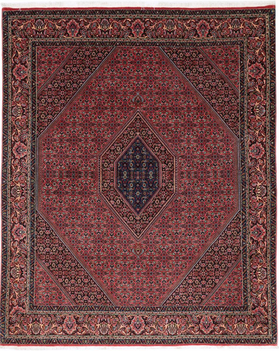 Persian Rug Bidjar Tekab 249x201 249x201, Persian Rug Knotted by hand