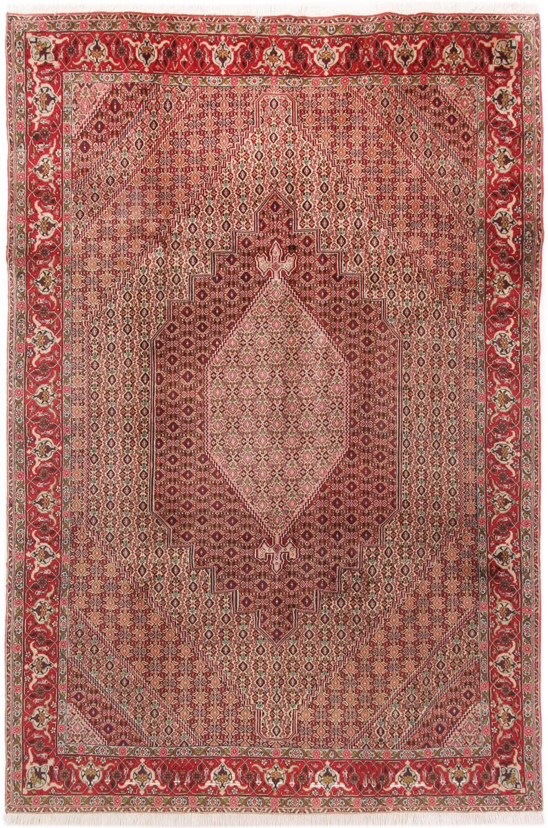 Persian Rug Senneh 9'8"x6'4" 9'8"x6'4", Persian Rug Knotted by hand