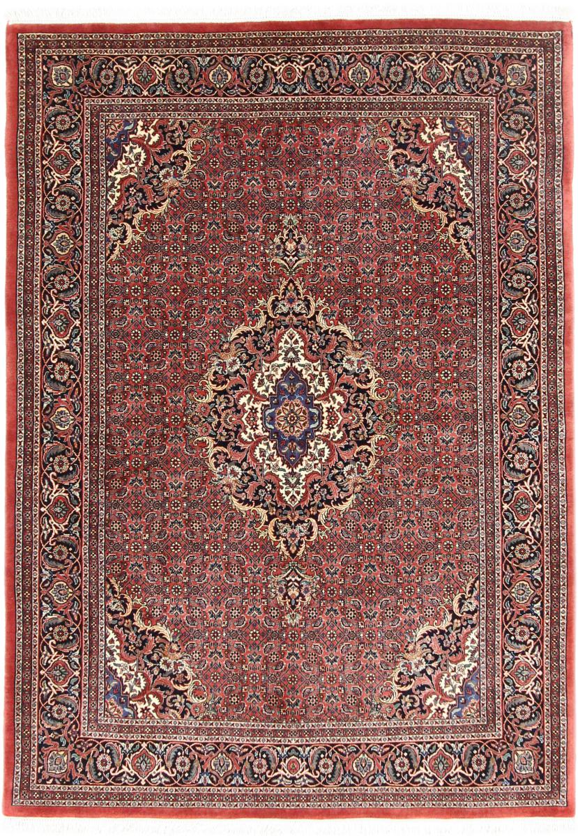 Persian Rug Bidjar 6'8"x4'9" 6'8"x4'9", Persian Rug Knotted by hand