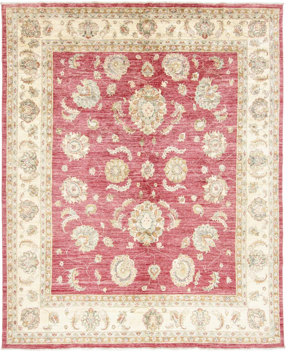 アフガンカーペット Ziegler ファラハン 293x240 293x240,  ペルシャ絨毯 手織り