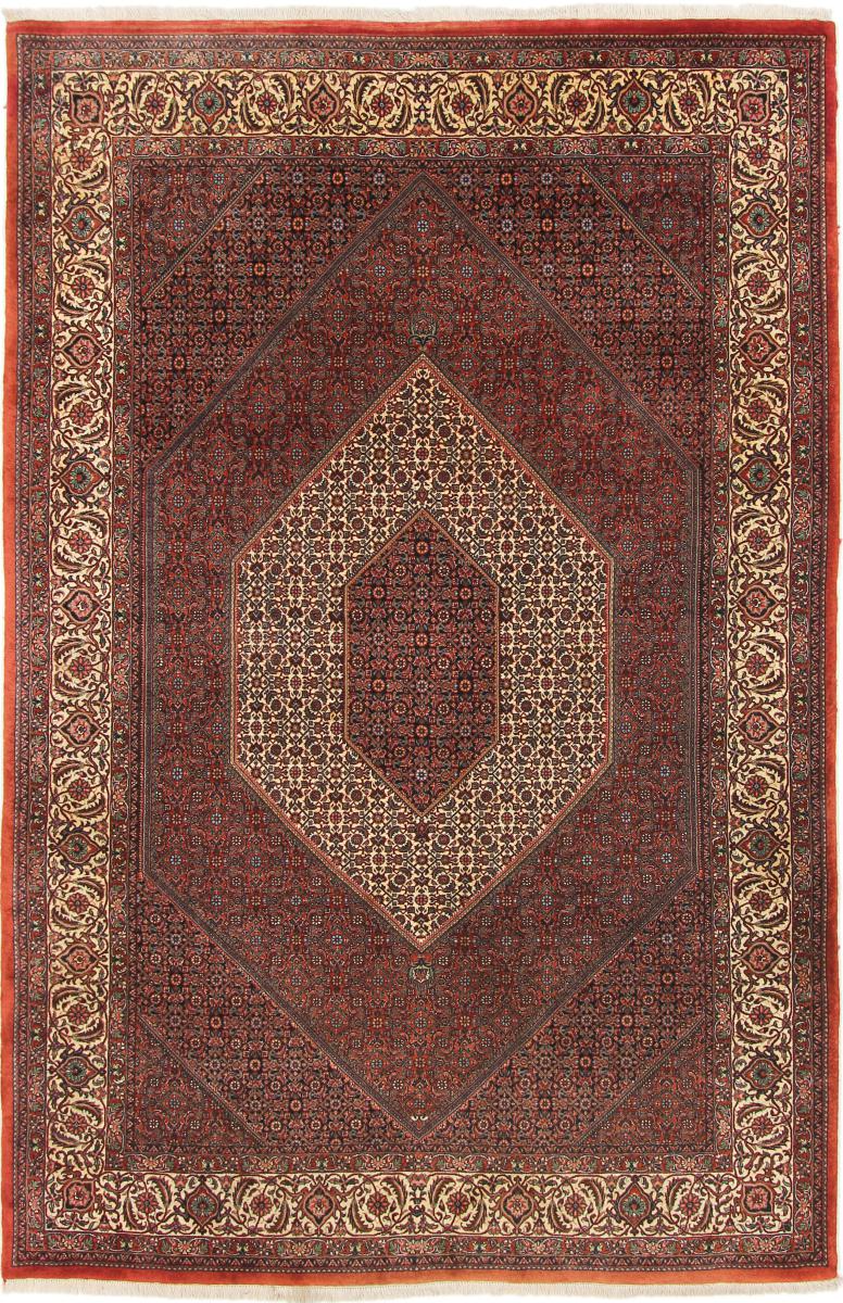 Persian Rug Bidjar 9'11"x6'4" 9'11"x6'4", Persian Rug Knotted by hand