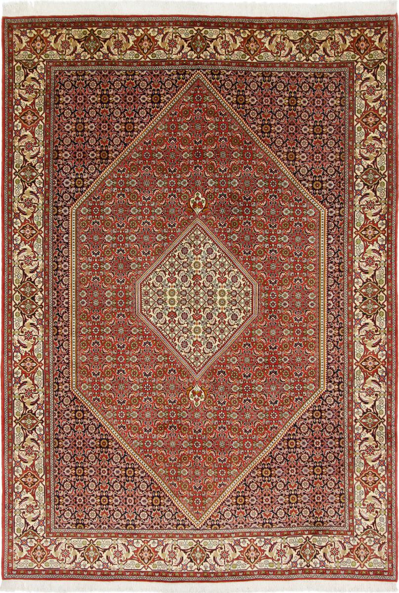 Persialainen matto Bidjar 9'4"x6'6" 9'4"x6'6", Persialainen matto Solmittu käsin